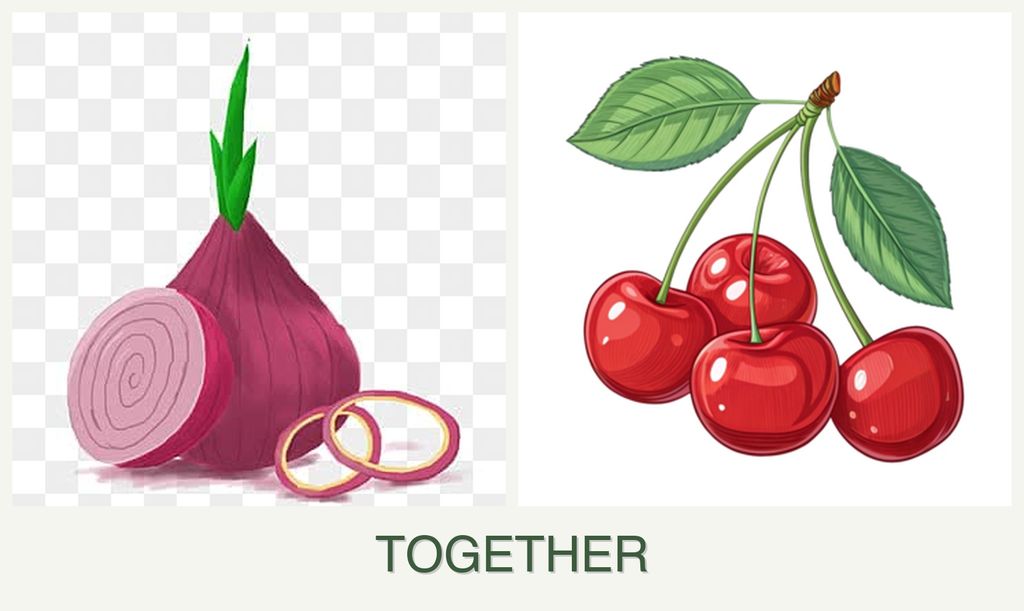 Can you plant onions and cherries together?