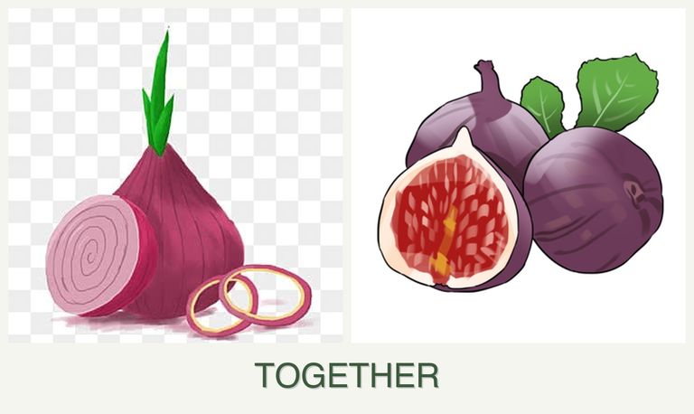 Can you plant onions and figs together?