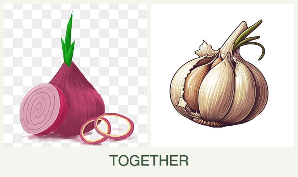 Can you plant onions and garlic together?