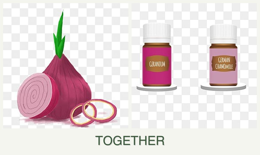 Can you plant onions and geraniums together?