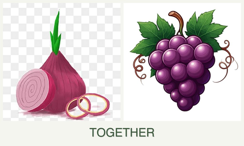 Can you plant onions and grapes together?
