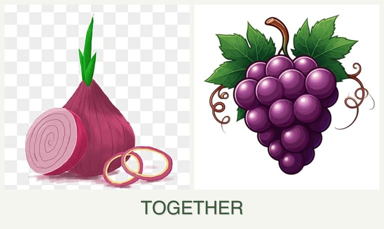 Can you plant onions and grapes together?