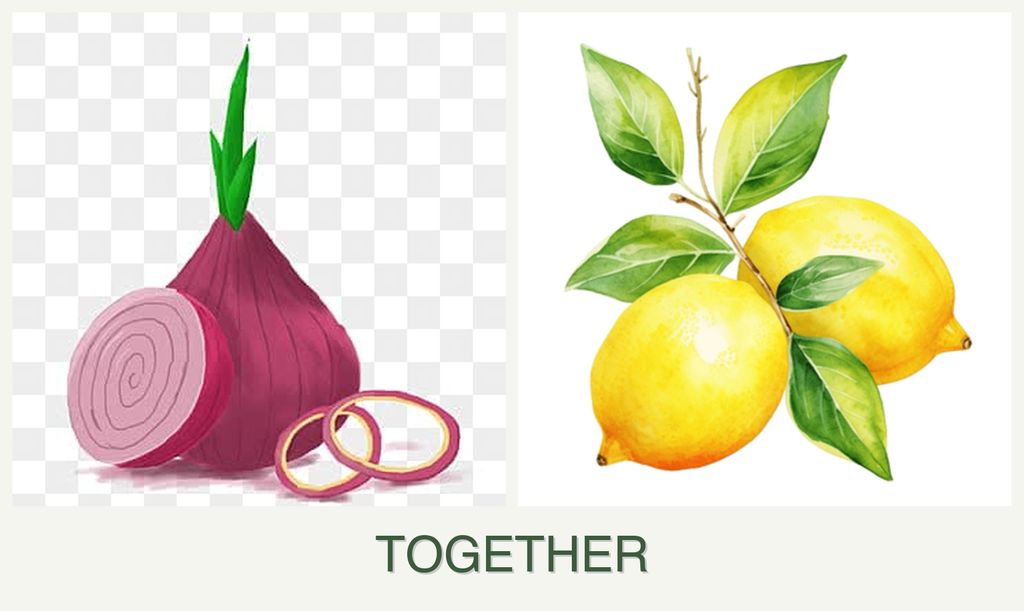 Can you plant onions and lemons together?