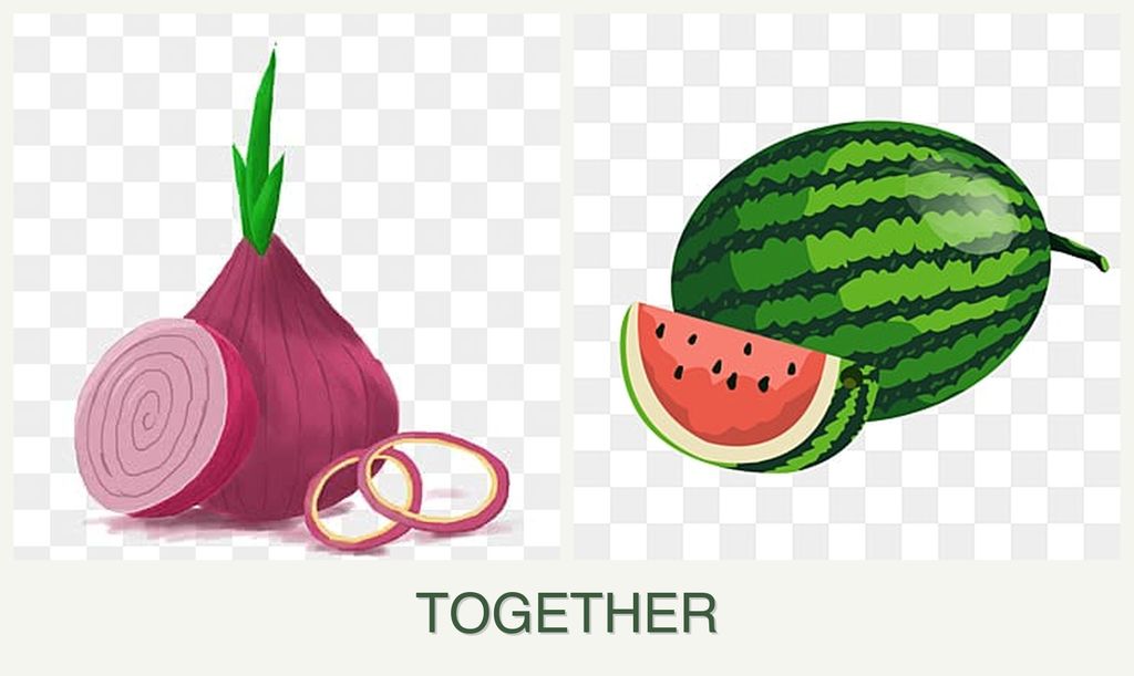Can you plant onions and melons together?