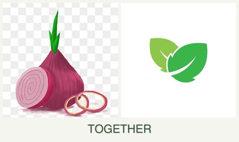 Can you plant onions and mint together?