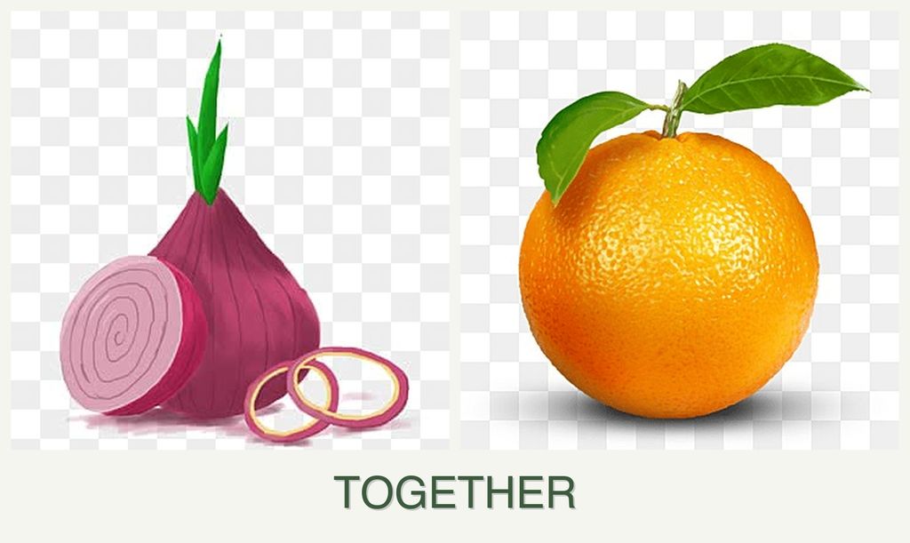 Can you plant onions and oranges together?