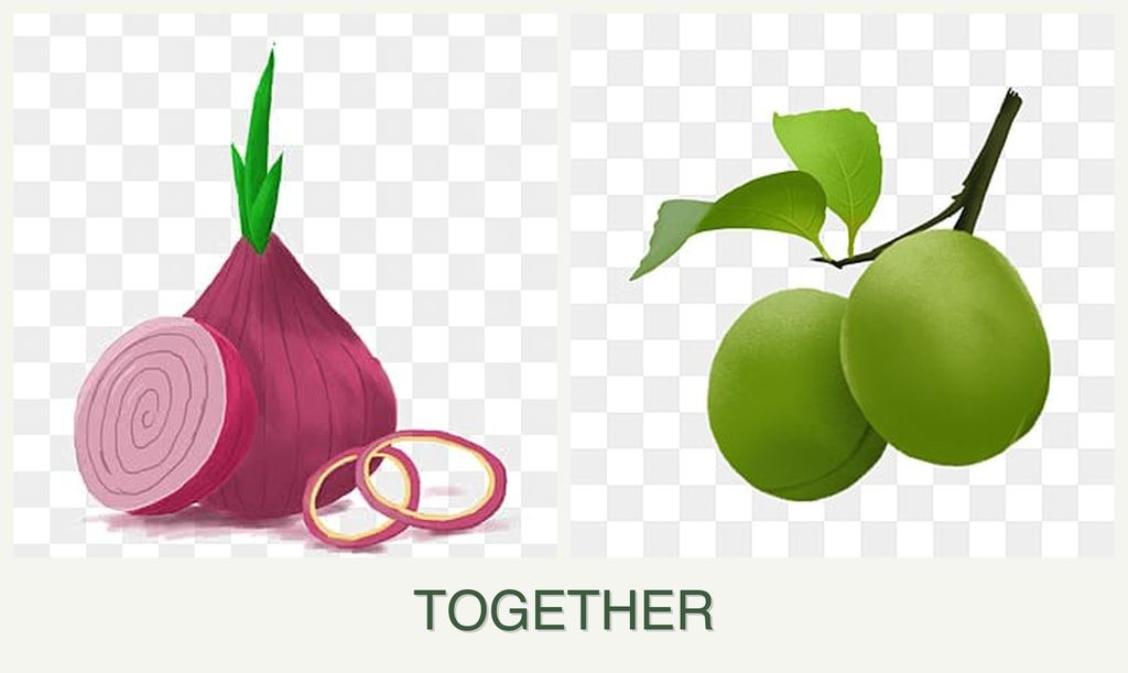 Can you plant onions and plums together?