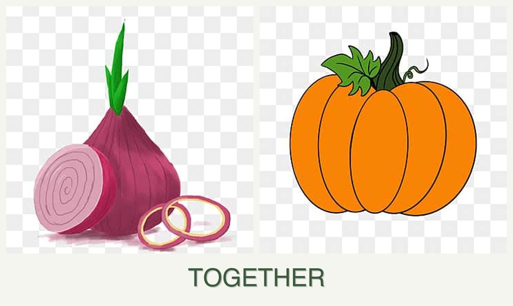 Can you plant onions and pumpkin together?