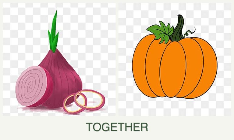Can you plant onions and pumpkin together?