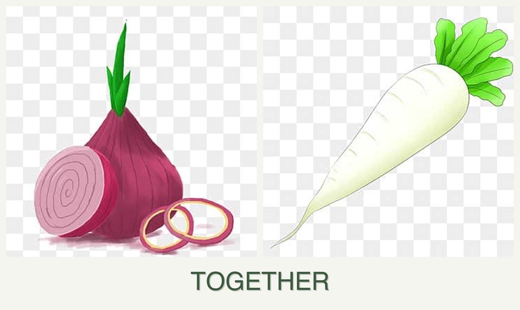 Can you plant onions and radishes together?
