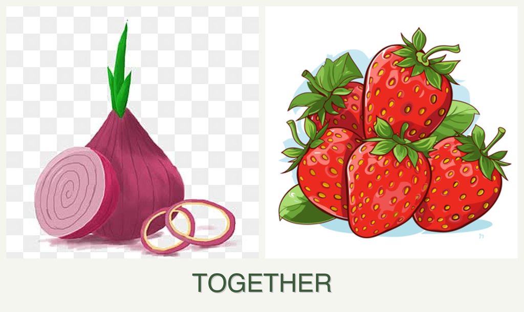 Can you plant onions and strawberries together?