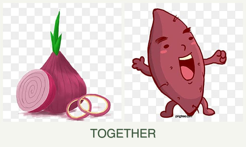 Can you plant onions and sweet potatoes together?