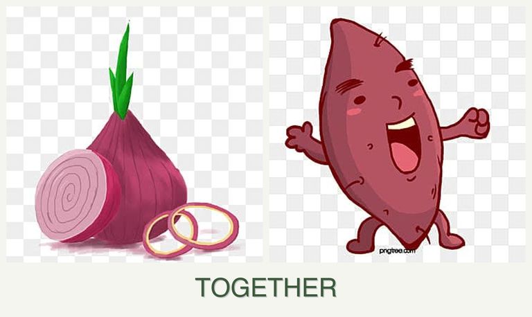 Can you plant onions and sweet potatoes together?