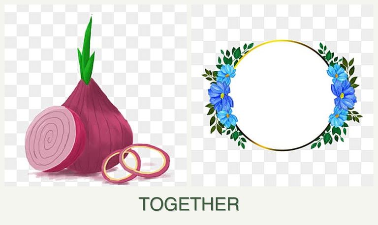 Can you plant onions and zinnias together?