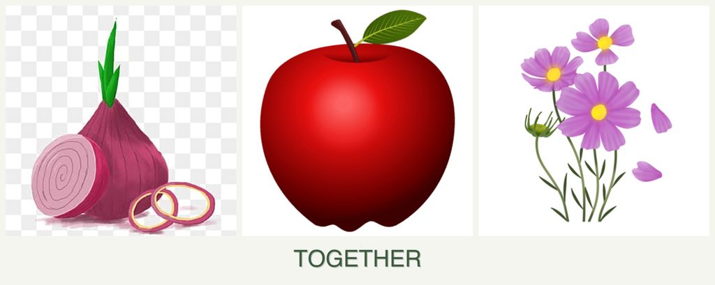 Can you plant onions, apples and cosmos together?