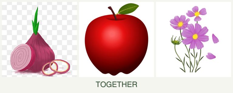 Can you plant onions, apples and cosmos together?
