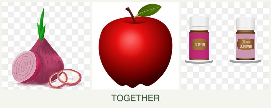 Can you plant onions, apples and geraniums together?