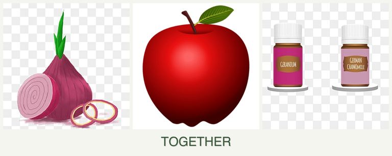 Can you plant onions, apples and geraniums together?