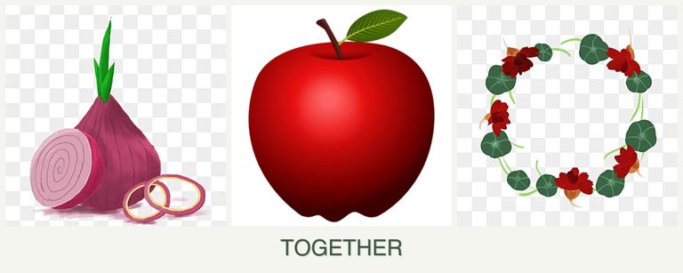 Can you plant onions, apples and nasturtiums together?