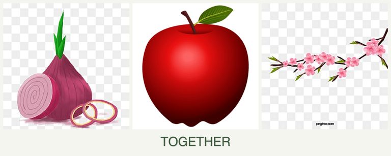 Can you plant onions, apples and peaches together?