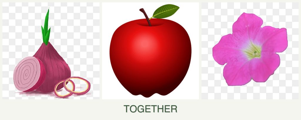 Can you plant onions, apples and petunias together?