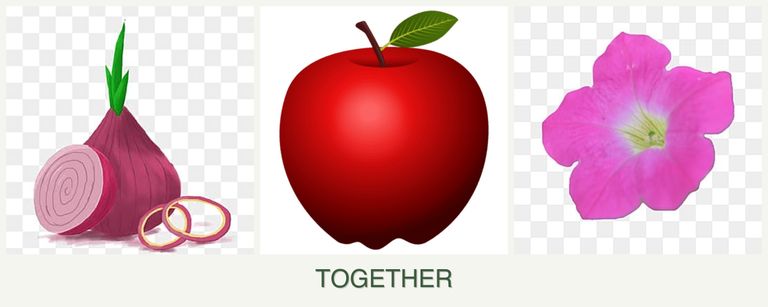 Can you plant onions, apples and petunias together?