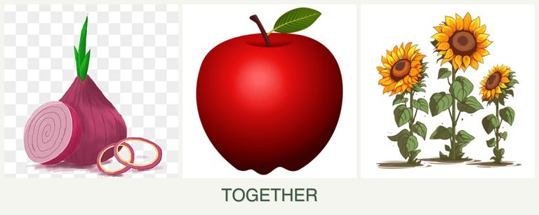 Can you plant onions, apples and sunflowers together?
