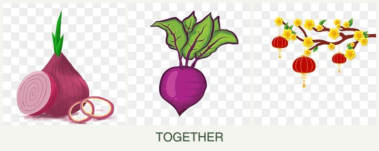 Can you plant onions, beets and apricots together?