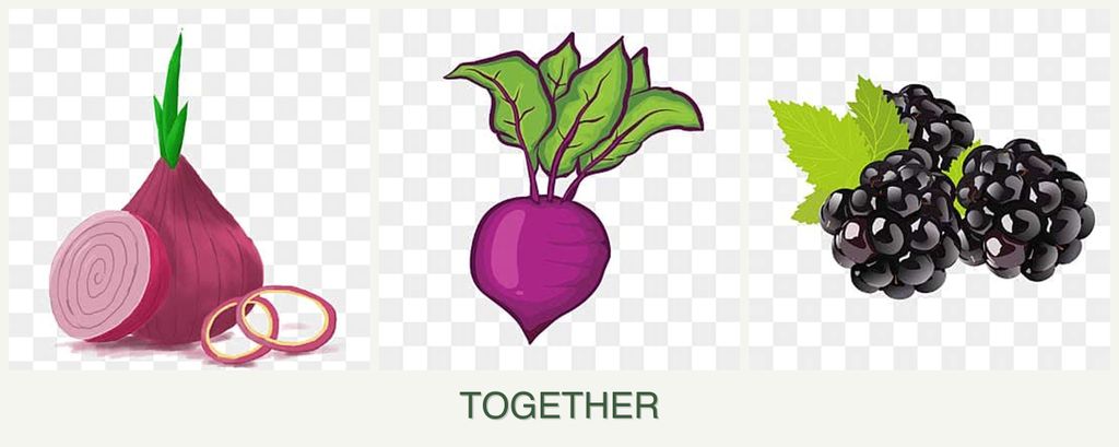 Can you plant onions, beets and blackberries together?