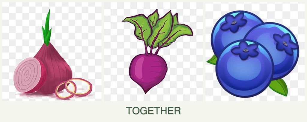 Can you plant onions, beets and blueberries together?