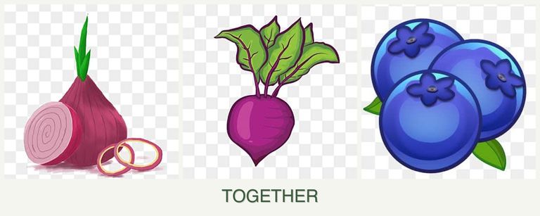 Can you plant onions, beets and blueberries together?