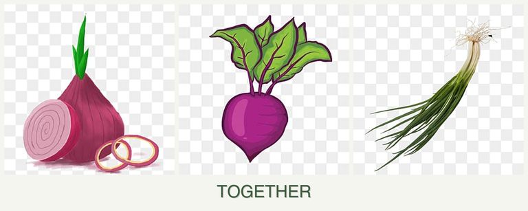 Can you plant onions, beets and chives together?