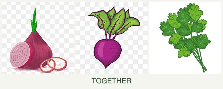 Can you plant onions, beets and cilantro together?