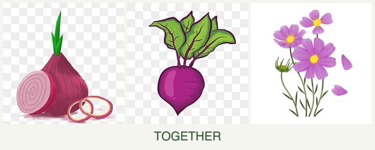 Can you plant onions, beets and cosmos together?