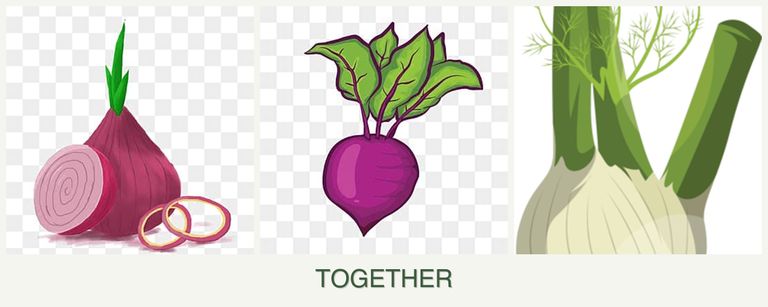 Can you plant onions, beets and fennel together?