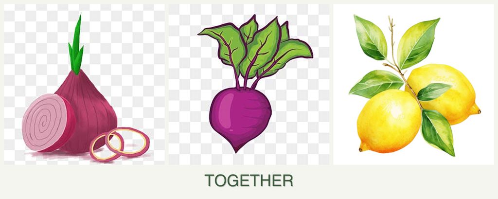 Can you plant onions, beets and lemons together?