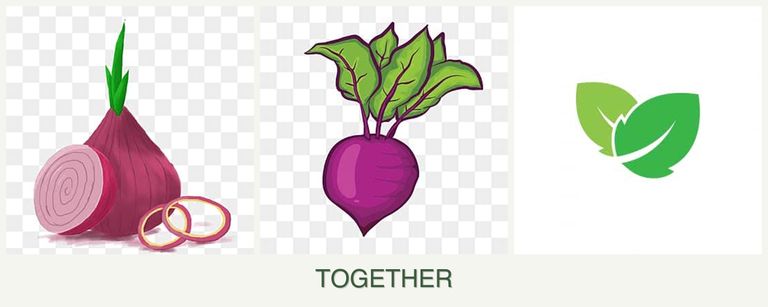 Can you plant onions, beets and mint together?