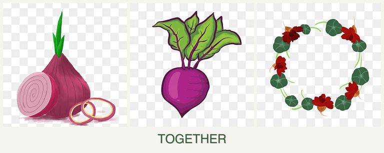 Can you plant onions, beets and nasturtiums together?