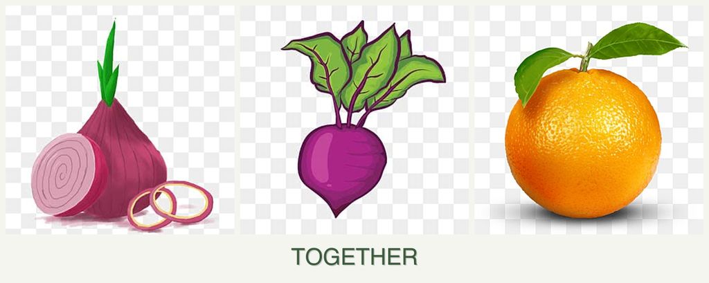 Can you plant onions, beets and oranges together?