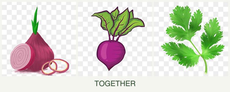 Can you plant onions, beets and parsley together?