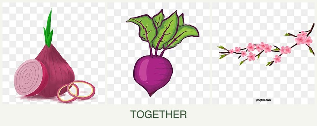Can you plant onions, beets and peaches together?
