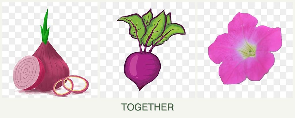 Can you plant onions, beets and petunias together?