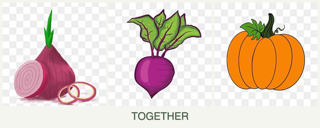 Can you plant onions, beets and pumpkin together?