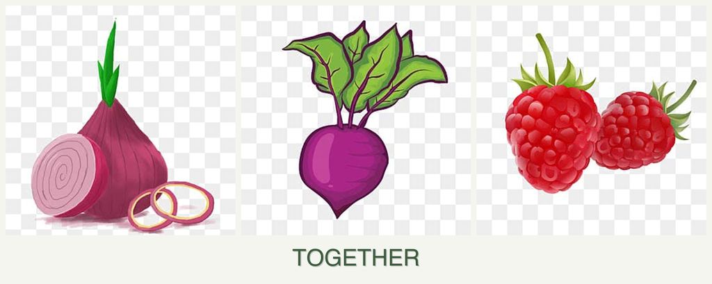 Can you plant onions, beets and raspberries together?