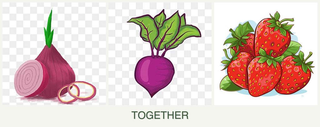 Can you plant onions, beets and strawberries together?