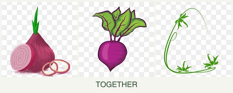 Can you plant onions, beets and tarragon together?