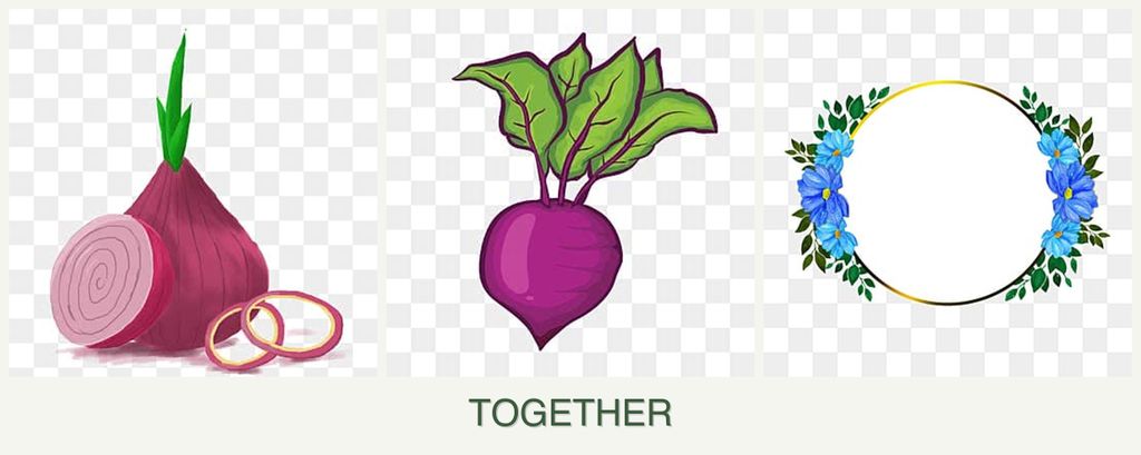 Can you plant onions, beets and zinnias together?
