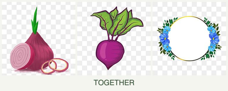 Can you plant onions, beets and zinnias together?