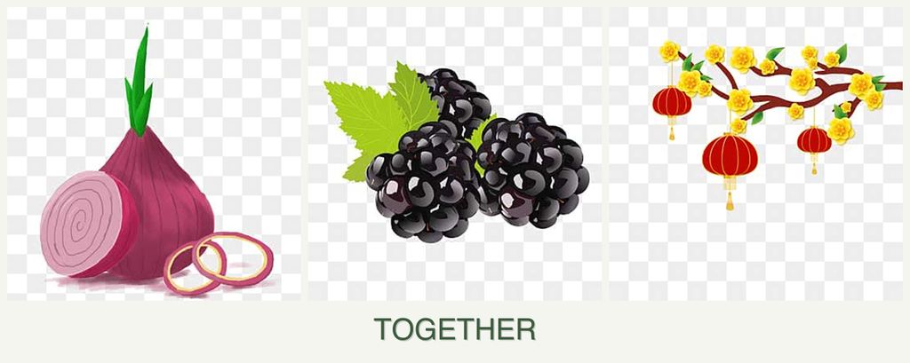 Can you plant onions, blackberries and apricots together?