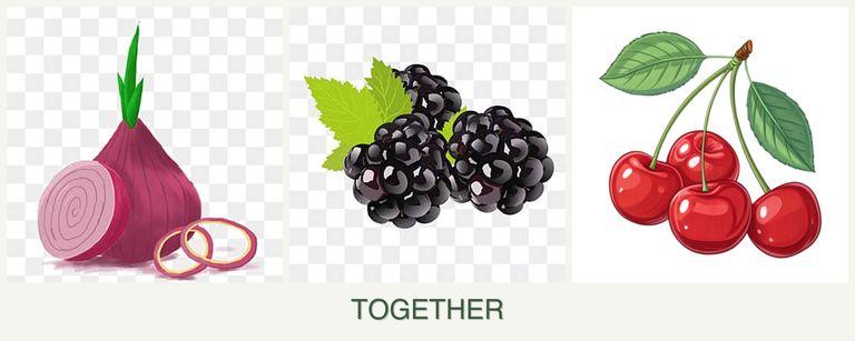 Can you plant onions, blackberries and cherries together?